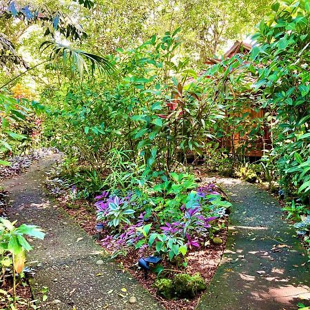 Coral Hill Bungalows カウイータ エクステリア 写真
