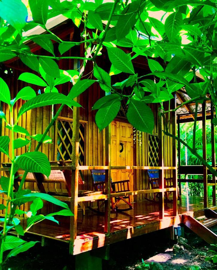 Coral Hill Bungalows カウイータ エクステリア 写真