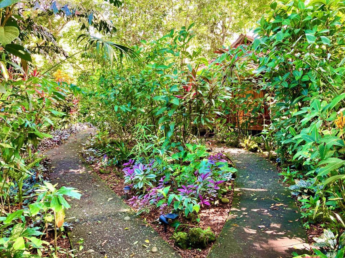 Coral Hill Bungalows カウイータ エクステリア 写真