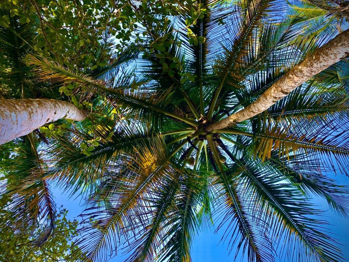 Coral Hill Bungalows カウイータ エクステリア 写真