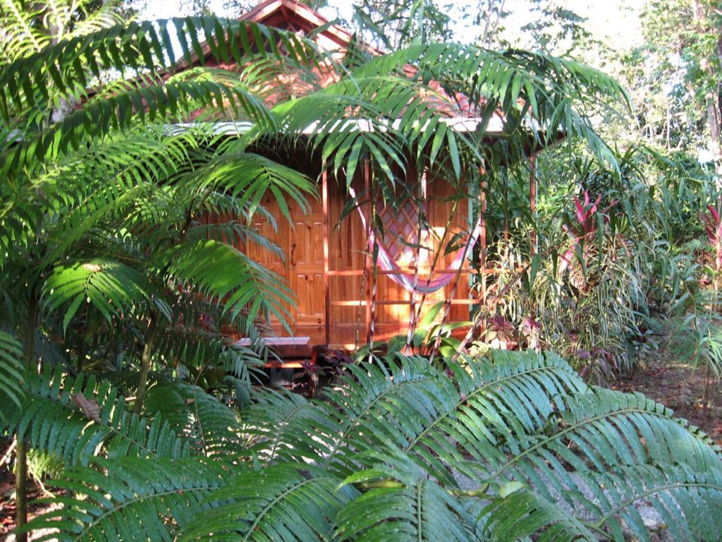 Coral Hill Bungalows カウイータ エクステリア 写真
