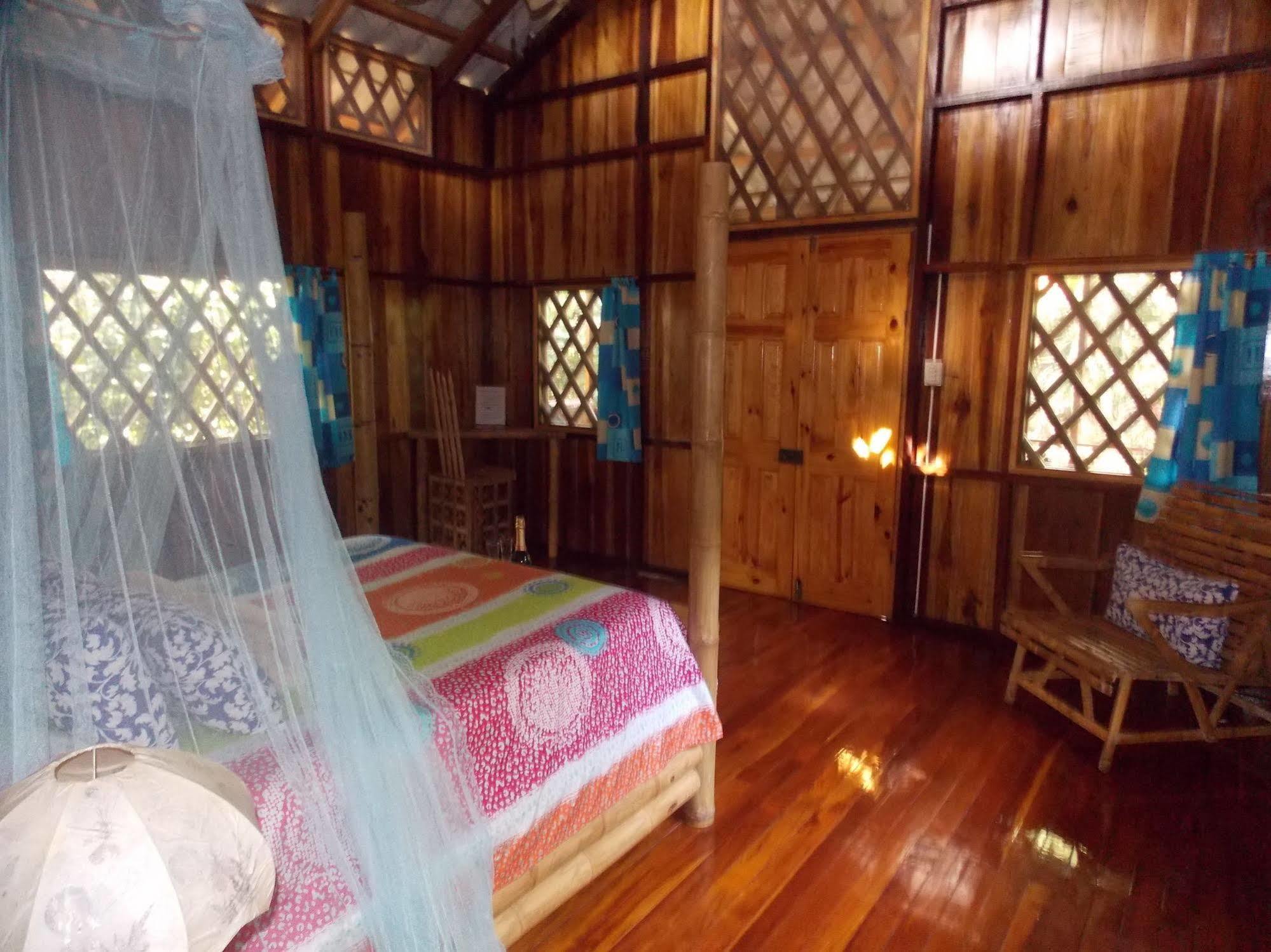 Coral Hill Bungalows カウイータ エクステリア 写真