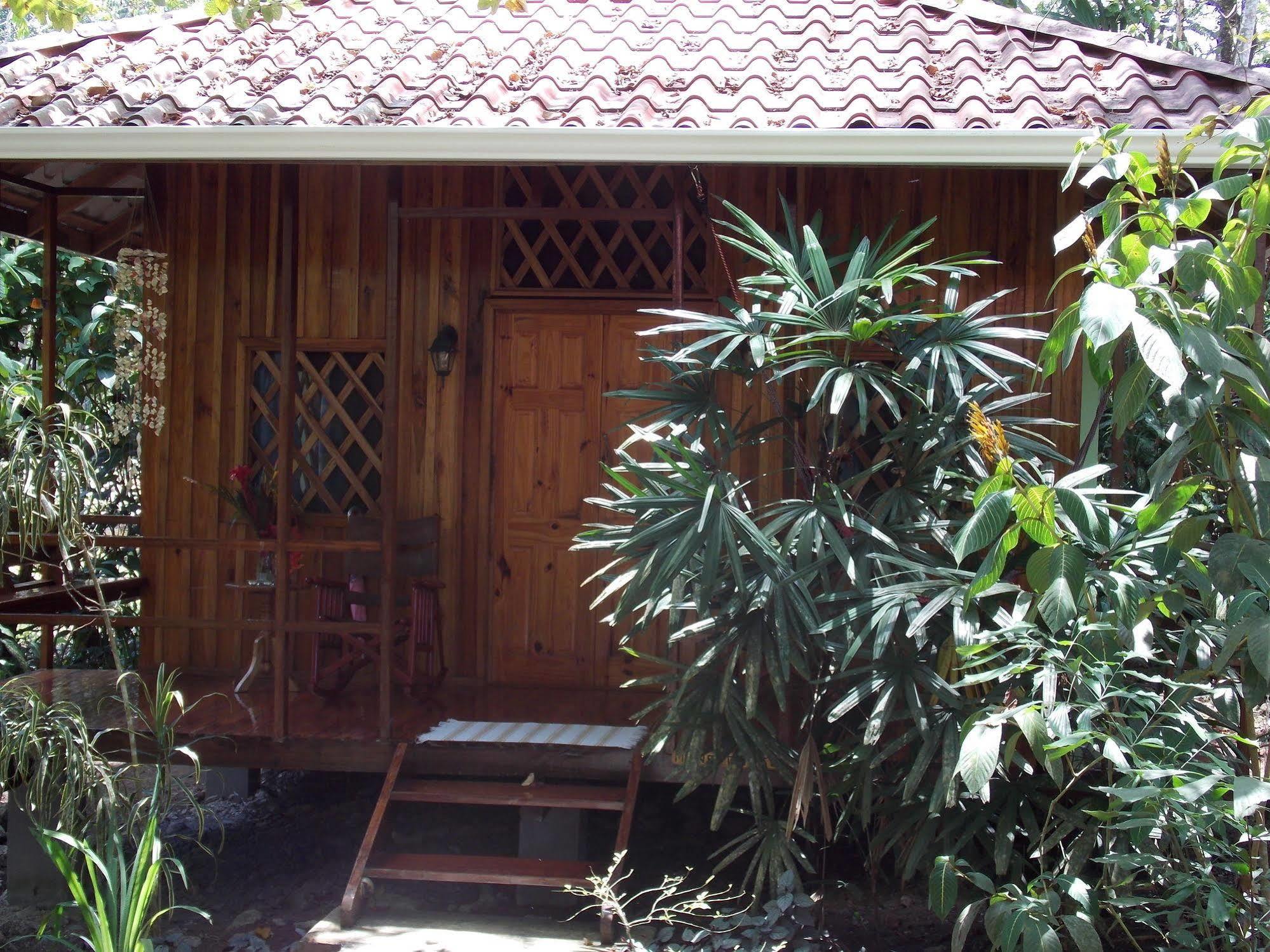 Coral Hill Bungalows カウイータ エクステリア 写真