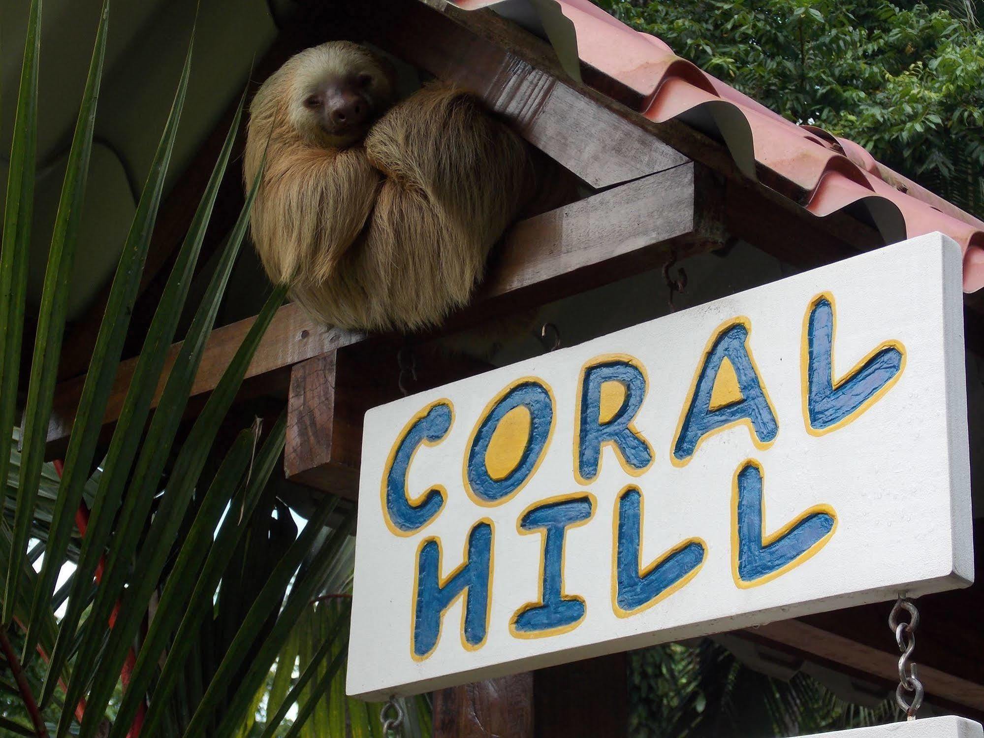 Coral Hill Bungalows カウイータ エクステリア 写真