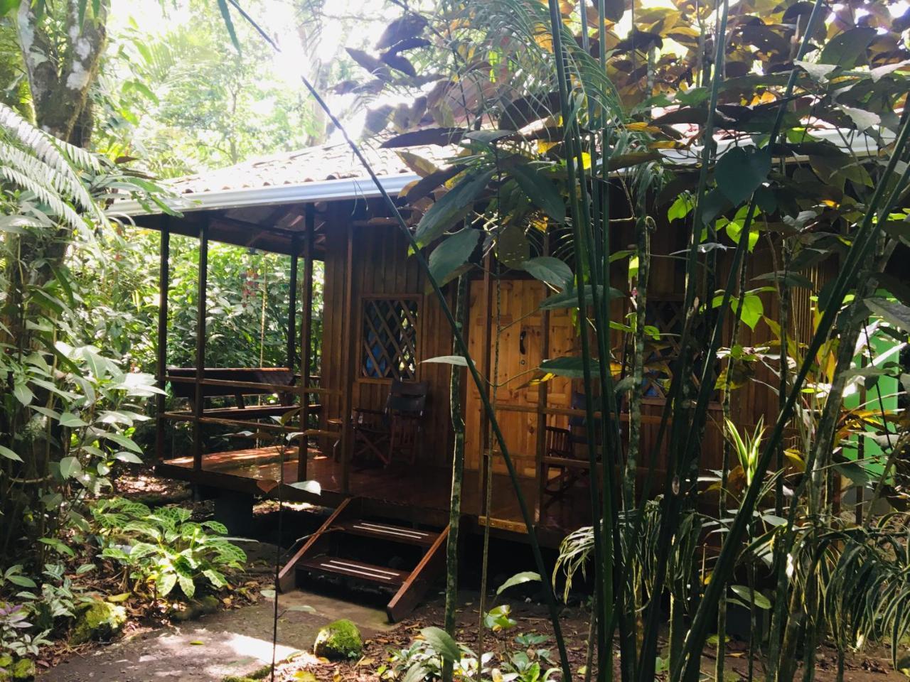 Coral Hill Bungalows カウイータ エクステリア 写真